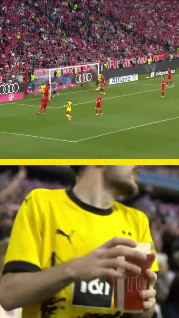 勇者無懼！這是真多特球迷！在拜仁球迷區(qū)一個人肆意慶祝！